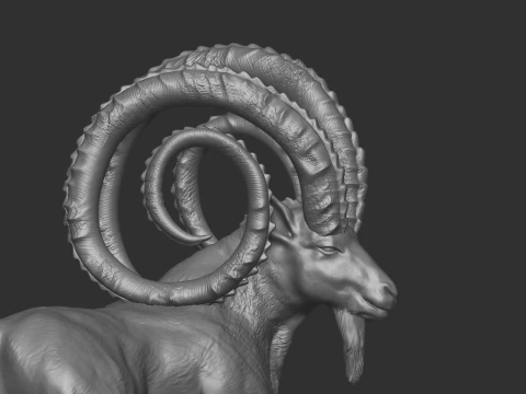 Markhor goat 3D Model