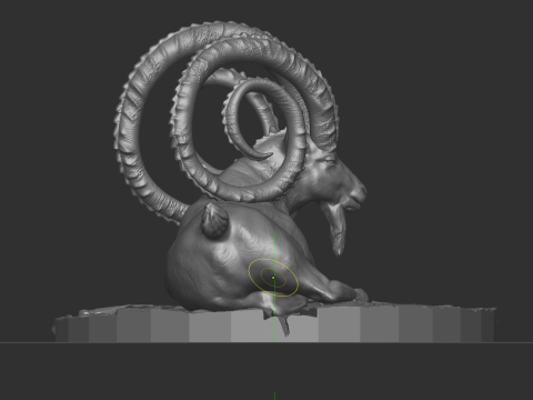 Markhor goat 3D-Modell