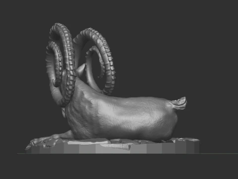 Markhor goat 3D Model