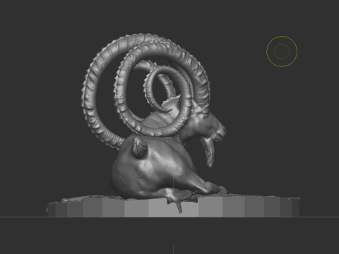 Markhor goat 3D-Modell