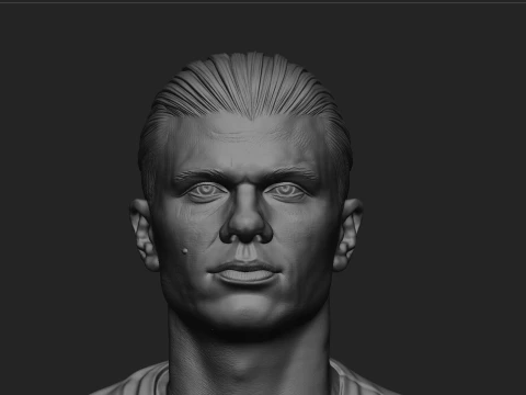 Erling Haaland Full Body Football Player 3D Print Model