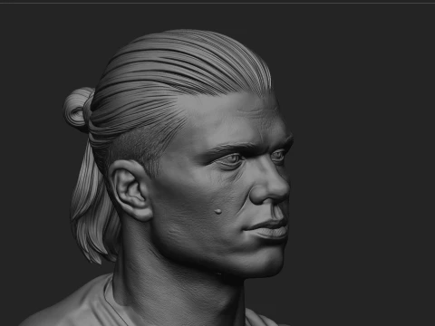 Erling Haaland Full Body Football Player 3D Print Model