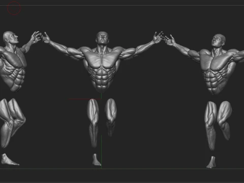 Muscular Man Wall Art Sculpture 3D Print Model