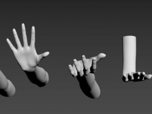 5 Unisex Hand Poses 3D Model