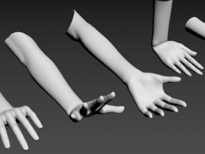 5 Unisex Hand Poses 3D Model