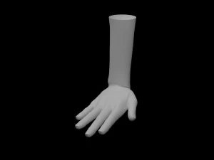 5 Unisex Hand Poses 3D Model