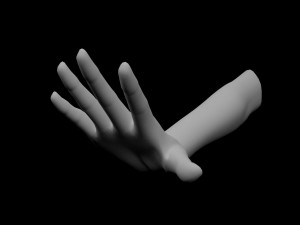 5 Unisex Hand Poses 3D Model