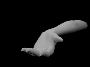 5 Unisex Hand Poses 3D Model