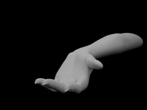 5 Unisex Hand Poses 3D Model
