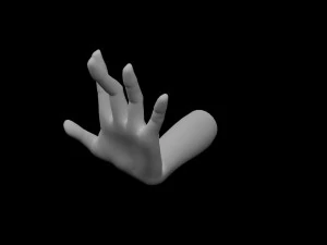 5 Unisex Hand Poses 3D Model