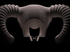 Ram Skull 3D Model