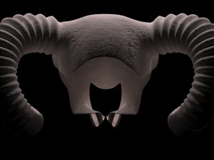 Ram Skull 3D Model