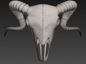 Ram Skull 3D Model