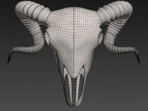 Ram Skull 3D Model