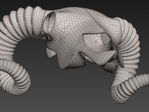 Ram Skull 3D Model