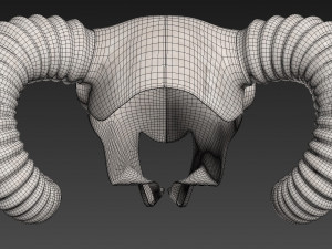 Ram Skull 3D Model
