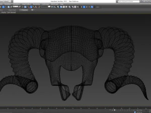 Ram Skull 3D Model