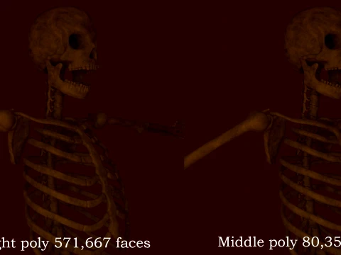 Anatomical skeleton 3D Model