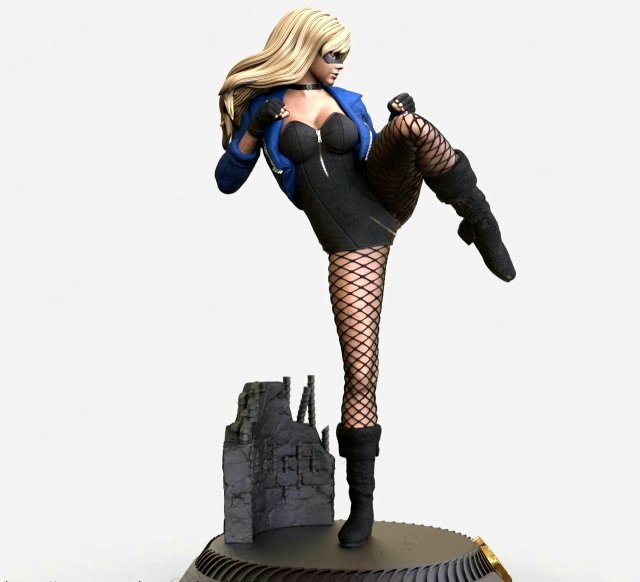 3d stl file of Black Canary Model 3D .c4d .max .obj .3ds .fbx .stl .blend 
