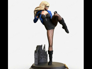3d stl file of Black Canary Model 3D