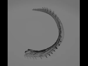 Dreedwing 3D Model