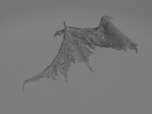 Dreedwing 3Dモデル