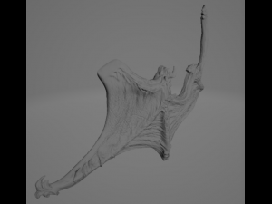 Wampire Elders set 3 pcs Model 3D
