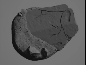 Ossefacti 3D Model