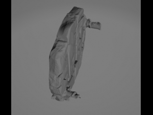 Ossefacti Model 3D