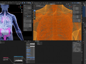 Human Anatomy X-ray Blender 3D Model 3D