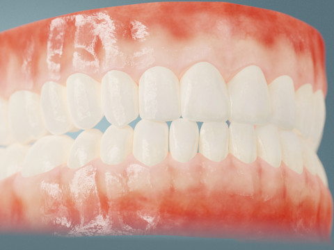 Realistic mouth teeth 3D blender 3Dモデル
