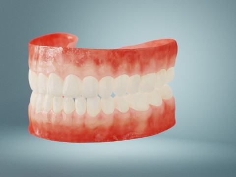 Realistic mouth teeth 3D blender 3Dモデル