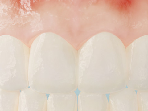 Realistic mouth teeth 3D blender 3Dモデル