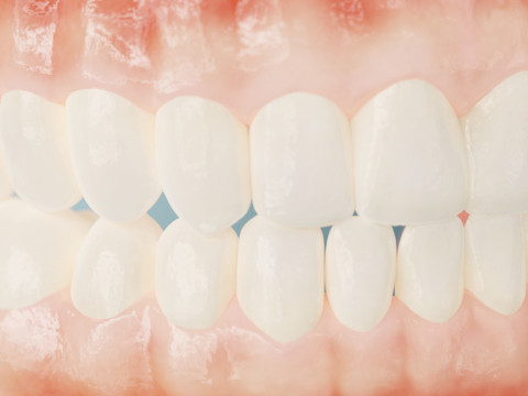 Realistic mouth teeth 3D blender 3Dモデル