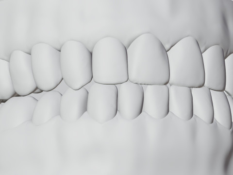 Realistic mouth teeth 3D blender 3Dモデル