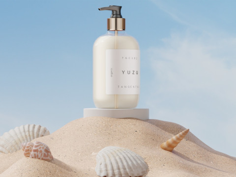 Skincare - Beach And Shells Blender 3D 3D Model