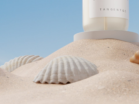 Skincare - Beach And Shells Blender 3D 3D Model