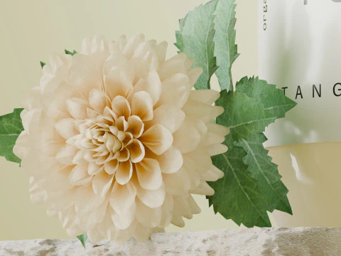 Flowers In The E-Commerce Product Scene Of Facial Cleanser Blender 3D Model