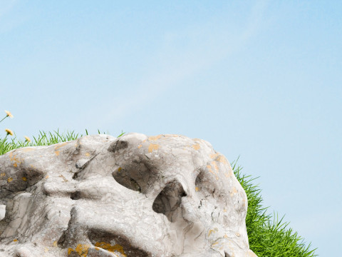 Skin Care Products Grass And Stones In The E-Commerce Product Scene Modèle 3D