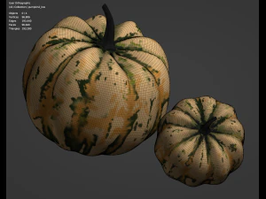Zucca di Halloween Modello 3D