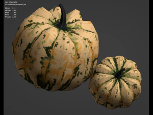 Zucca di Halloween Modello 3D