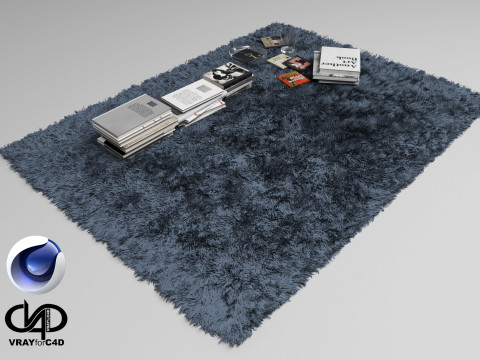 Fur Carpet And Books - Vray6 - C4D Model 3D