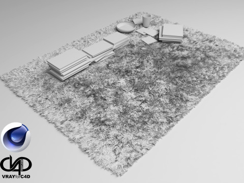Fur Carpet And Books - Vray6 - C4D Model 3D