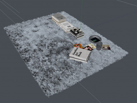 Fur Carpet And Books - Vray6 - C4D Model 3D