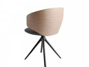 MDF Italia Universal Collection wood armchair 3D Model