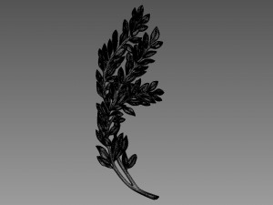 Olive Branches Bas-Relief Model 3D