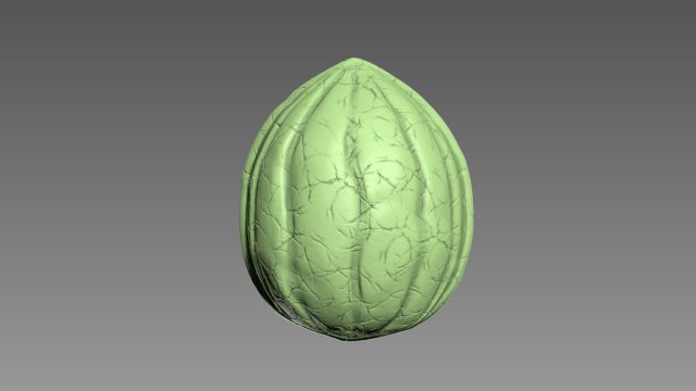 Nut Shell Modelo de impresión 3D .c4d .max .obj .3ds .fbx .stl .blend 