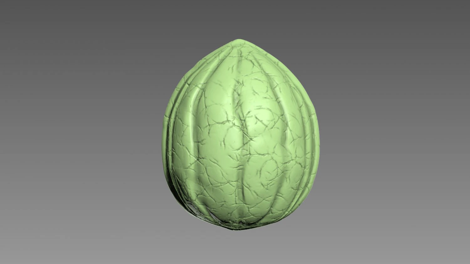 Guscio di noce Modello di stampa 3D .c4d .max .obj .3ds .fbx .stl .blend 