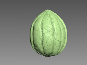 Nut Shell Modelo de impresión 3D
