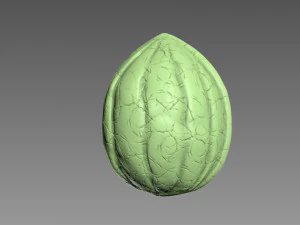 Guscio di noce Modello di stampa 3D